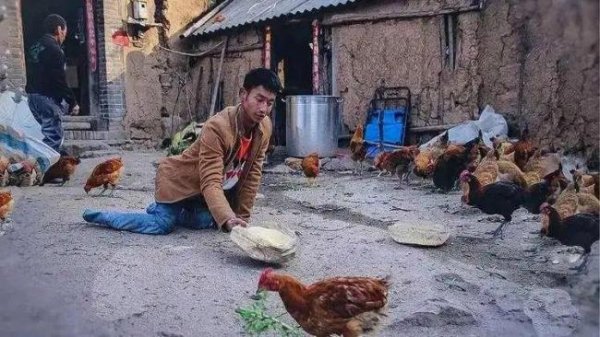 配资查询门户导航 河南爬行娃回应向榕江捐1万个鸡蛋 点亮希望之光