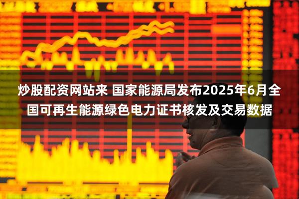 炒股配资网站来 国家能源局发布2025年6月全国可再生能源绿色电力证书核发及交易数据