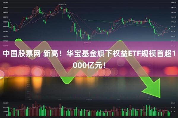 中国股票网 新高！华宝基金旗下权益ETF规模首超1000亿元！