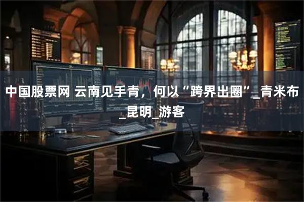 中国股票网 云南见手青，何以“跨界出圈”_青米布_昆明_游客